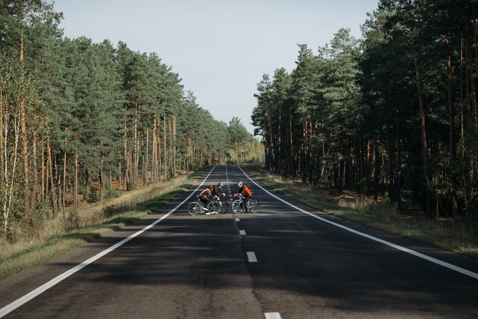 Preços do Metro Quadrado de Asfalto: Invista de Acordo com as Necessidades do Ano