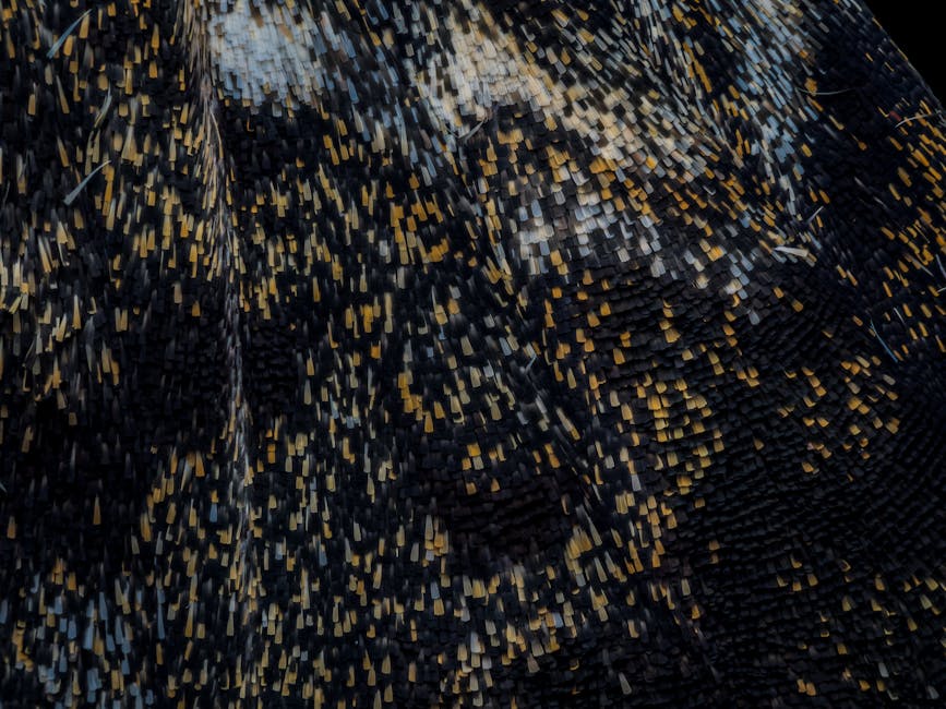 Adicione elegância aos seus estacionamentos com asfalto colorido.