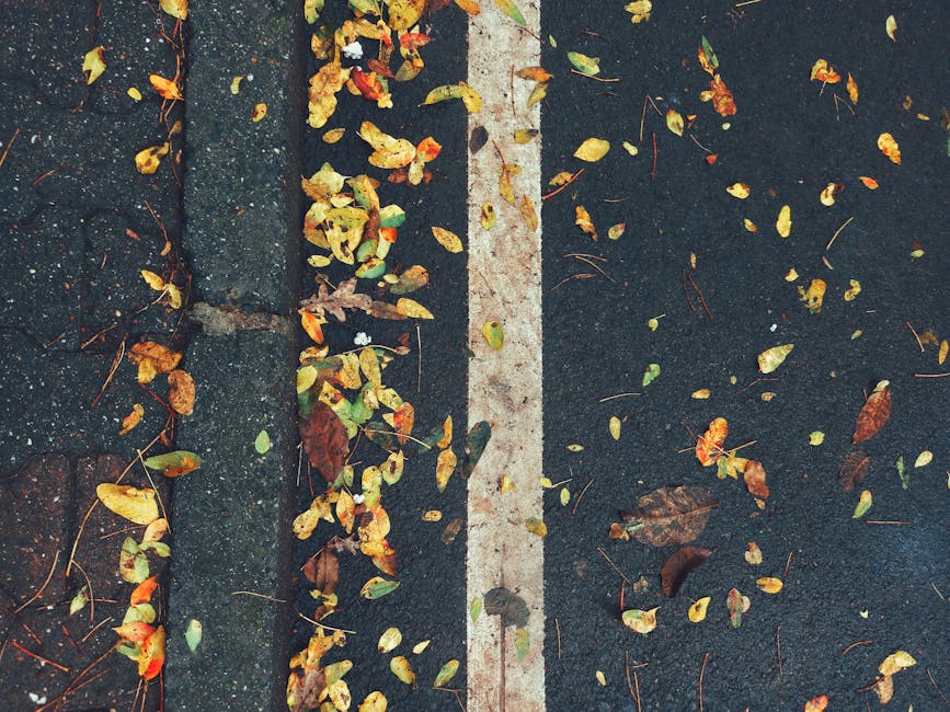 Serviços de Asfaltamento de Estacionamentos em Ancara: Faça a Diferença com Opções Coloridas