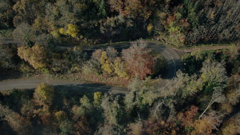 Mergulhando nas Profundezas dos Preços do Asfalto: Quem Fará as Estradas?