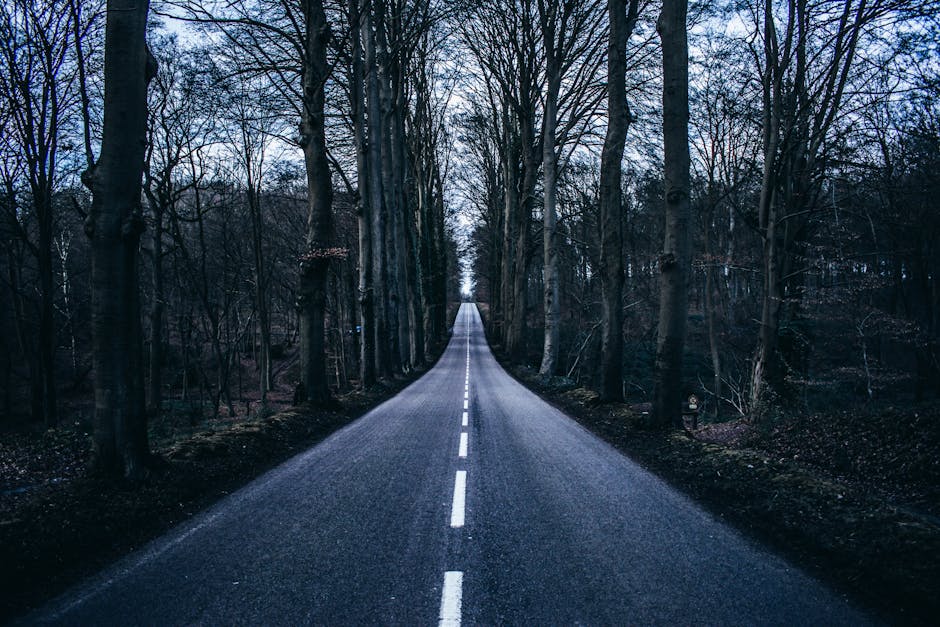 Novas Métodos e Oportunidades em Aplicações de Asfalto 2026