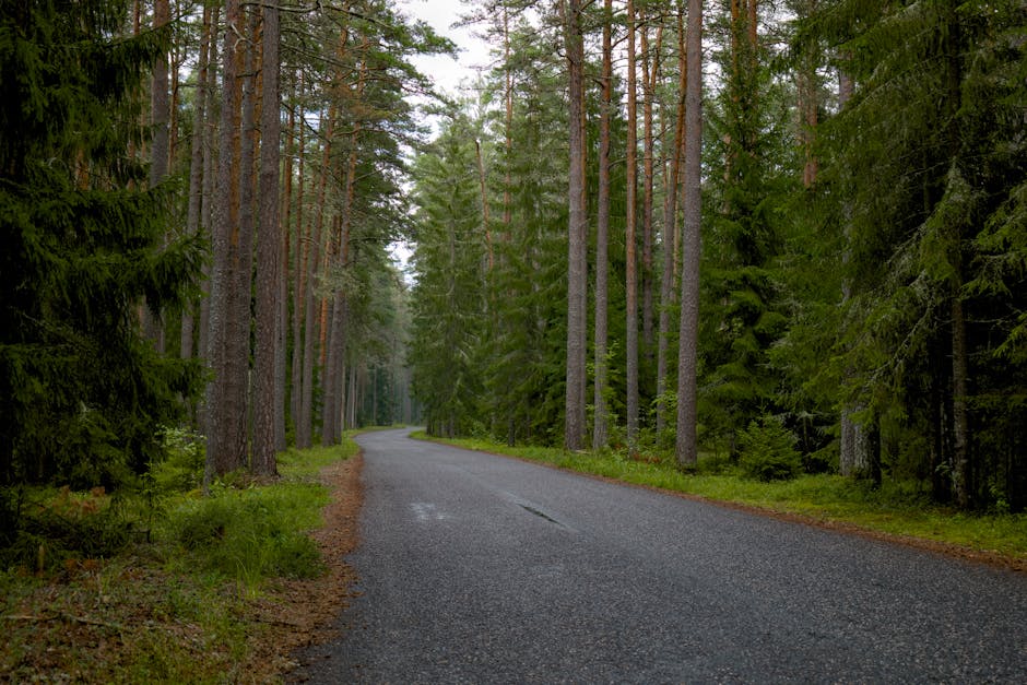 Estradas Urbanas: Quem é Responsável e Como São os Custos?